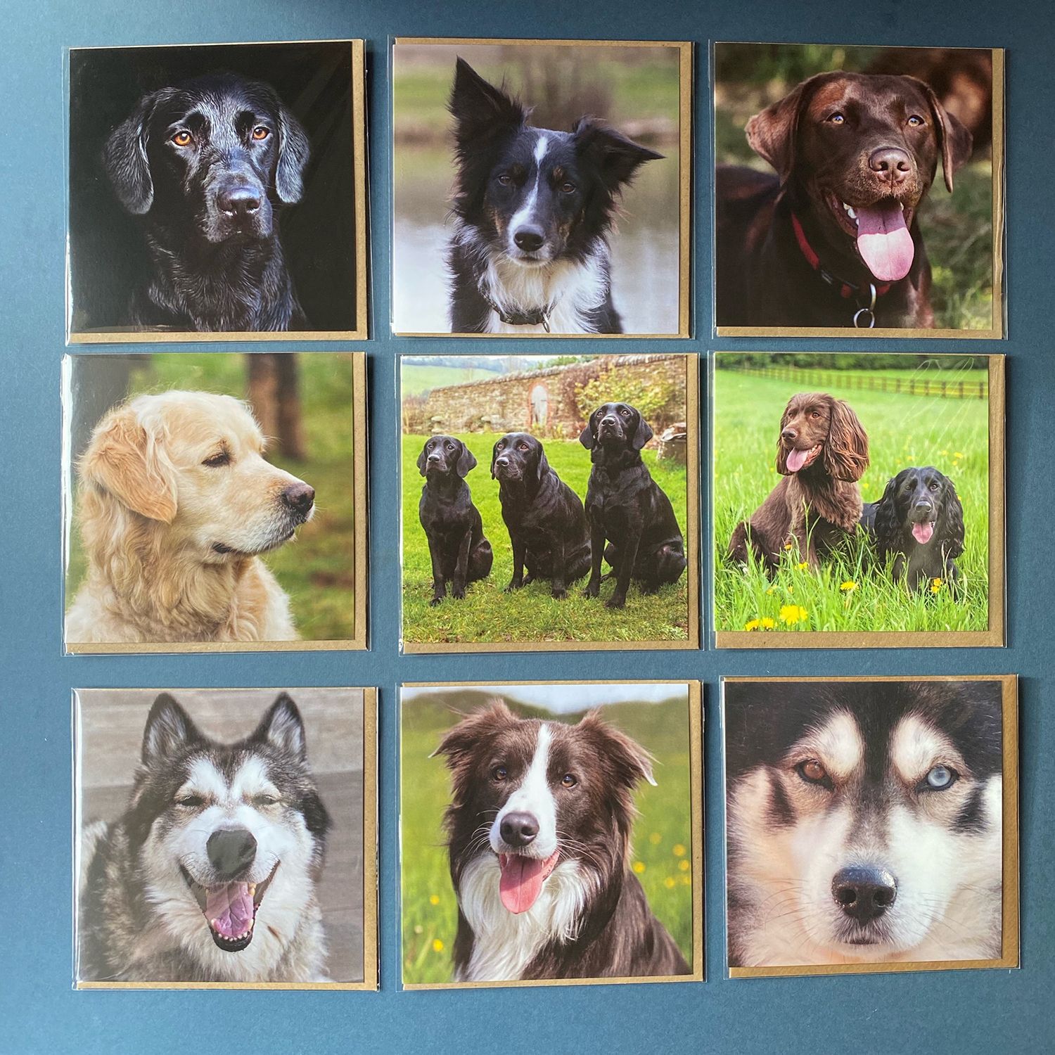 Dog cards and Gifts